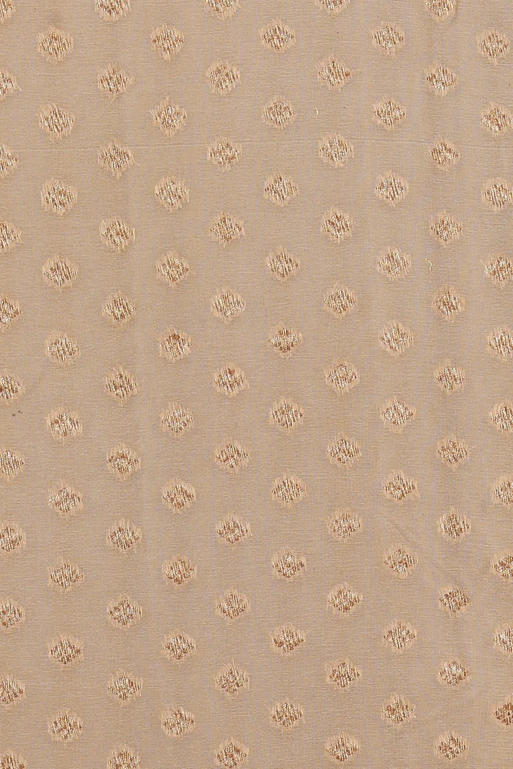 Banarasi Chiffon Beige Saree