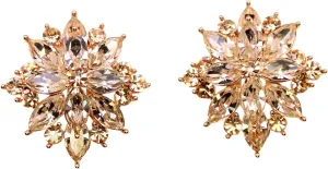 Faship Statement Crystal Rhinestone Floral Clip On Earrings