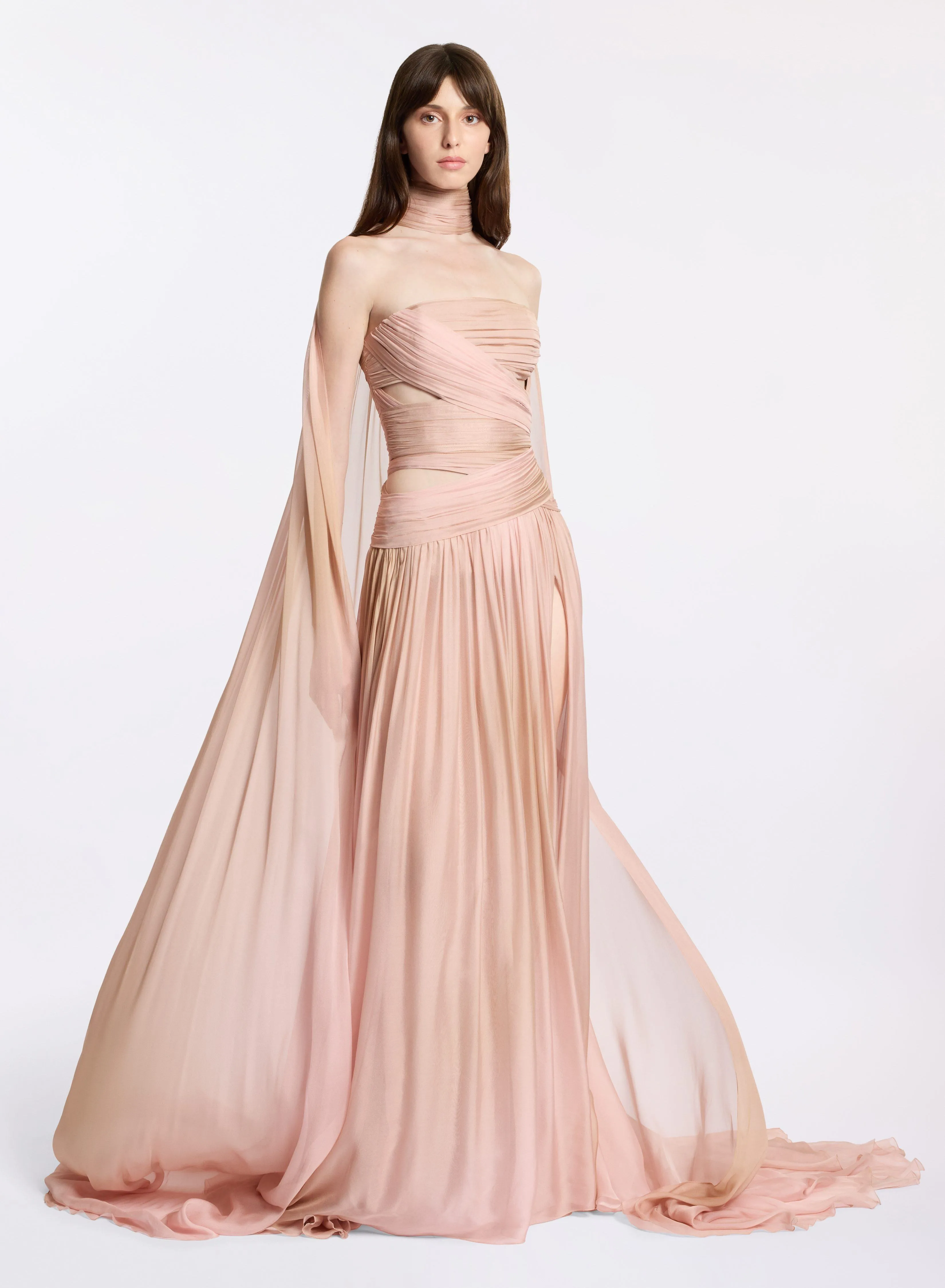 Printed Chiffon Long Dress